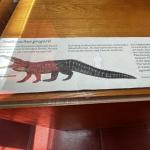 2023OTRA_742 (May 07, 2023)